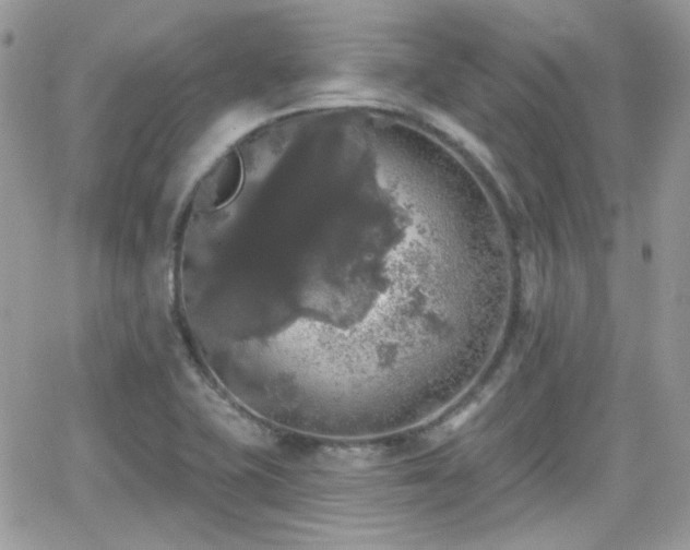 X0000066971415200603271156