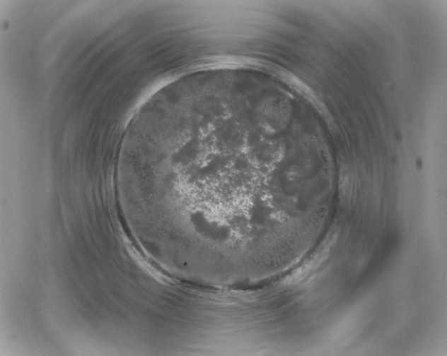 X0000066971417200603271156