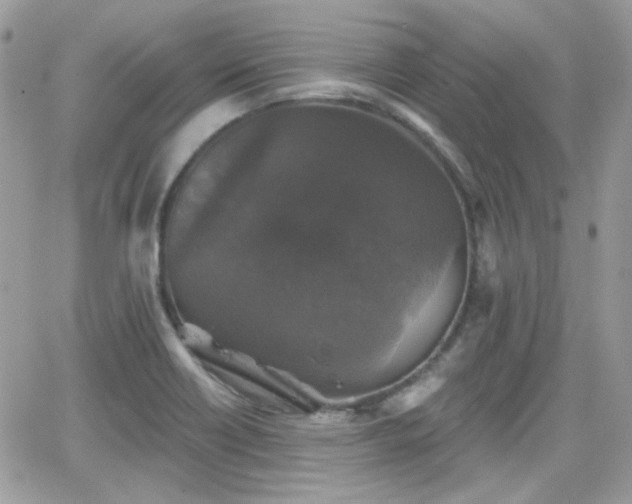 X0000066971418200603271156