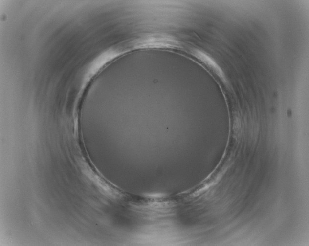 X0000066971419200603271156