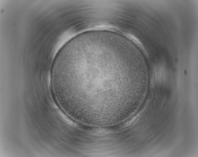 X0000066971420200603271156