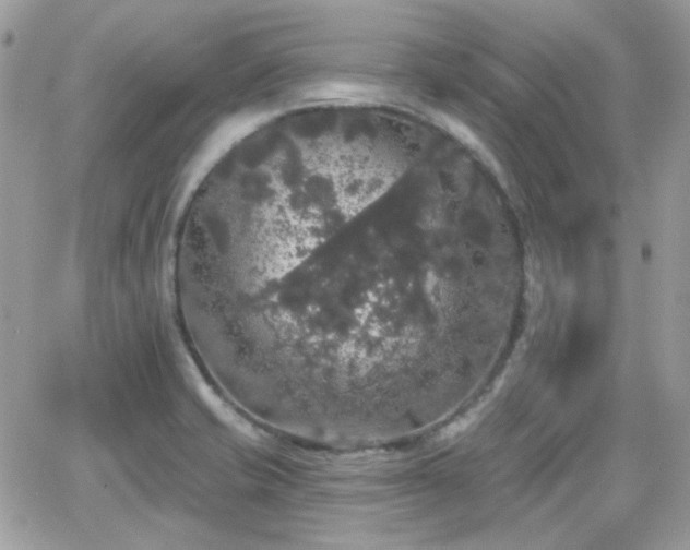 X0000066971421200603271156