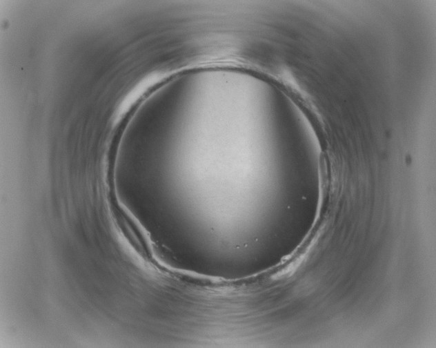 X0000066971422200603271156