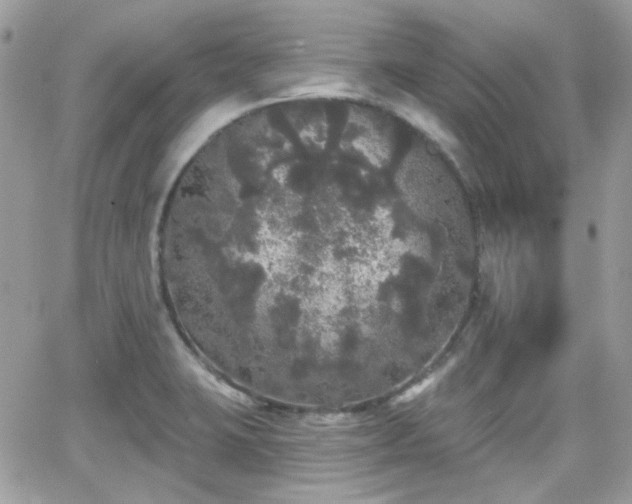 X0000066971423200603271156