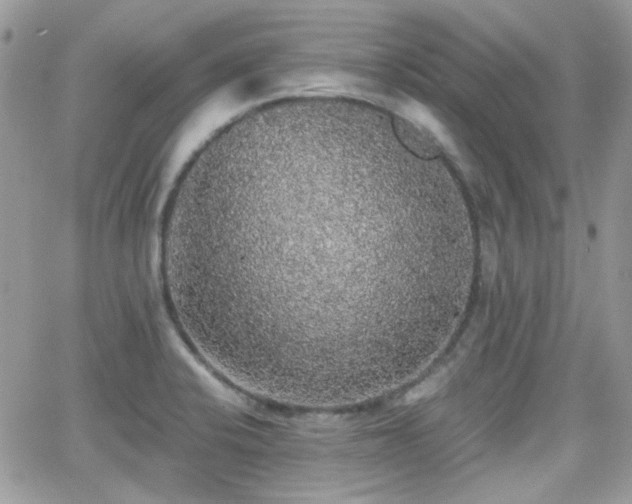 X0000066971424200603271157