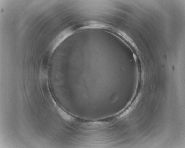 X0000066971425200603271157