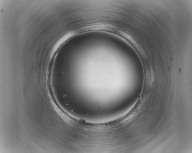 X0000066971426200603271157