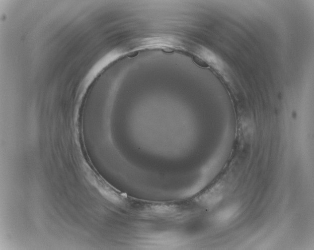 X0000066971427200603271157