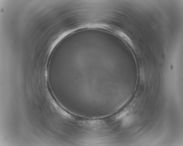 X0000066971428200603271157