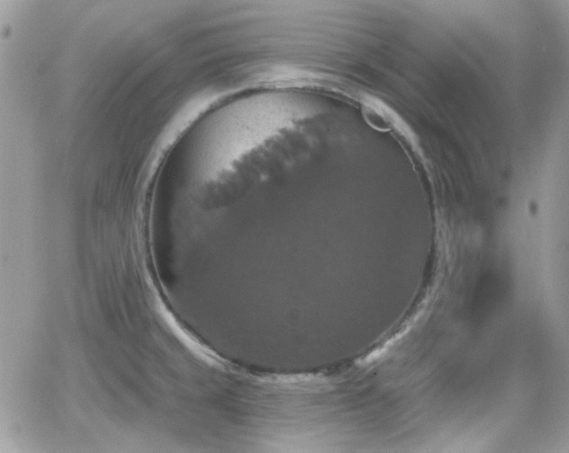 X0000066971429200603271157