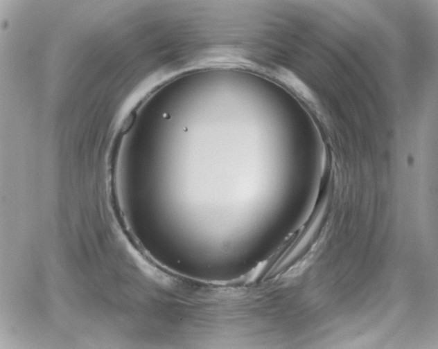 X0000066971430200603271157