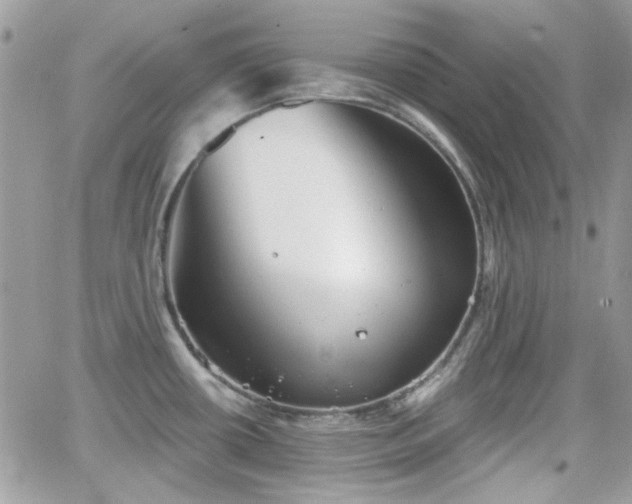 X0000066971434200603271157