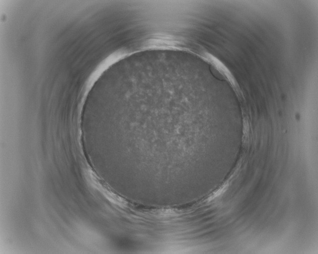 X0000066971435200603271157