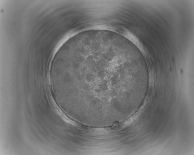 X0000066971436200603271157