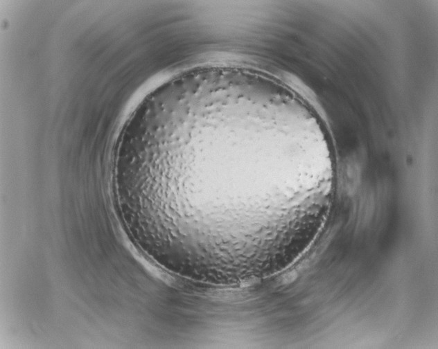 X0000066971437200603271157