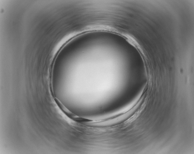 X0000066971438200603271157