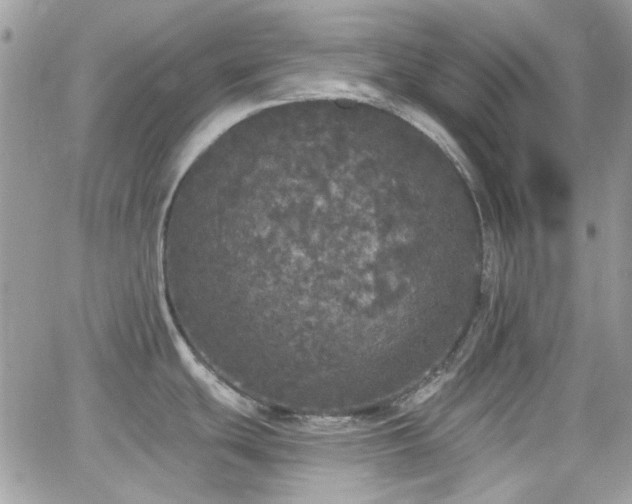 X0000066971439200603271157