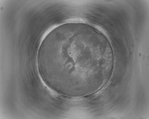 X0000066971440200603271157