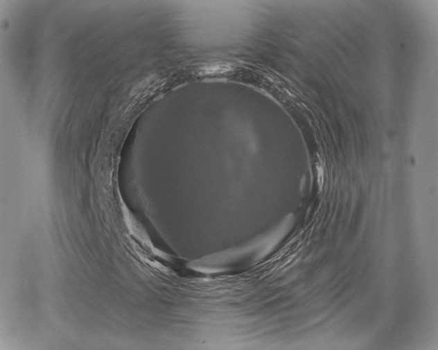 X0000066971441200603271156