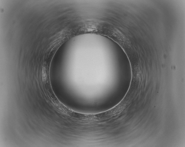 X0000066971442200603271156