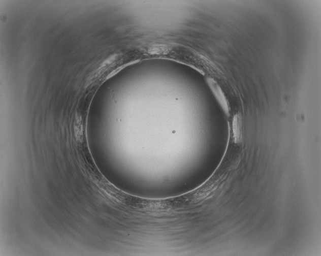 X0000066971443200603271156