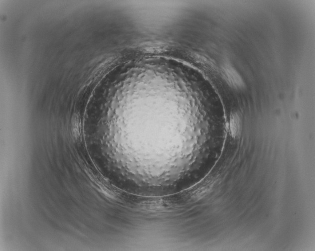 X0000066971444200603271156