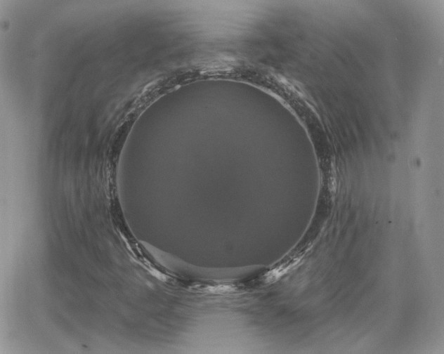 X0000066971445200603271156