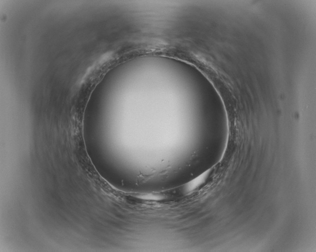 X0000066971447200603271156