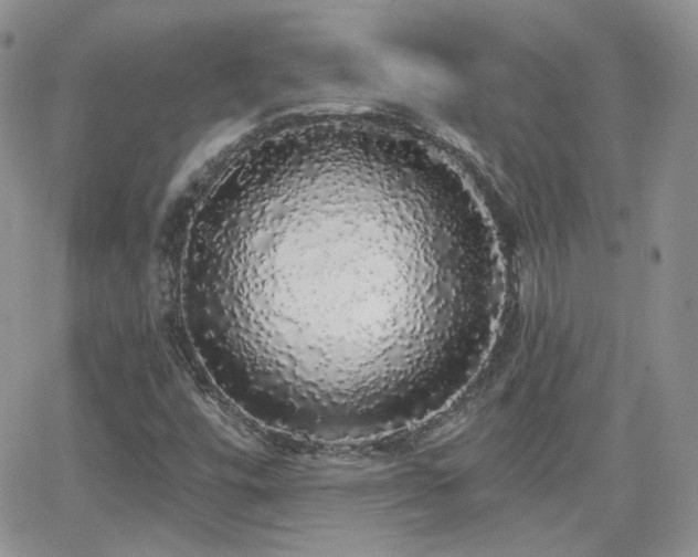 X0000066971448200603271156