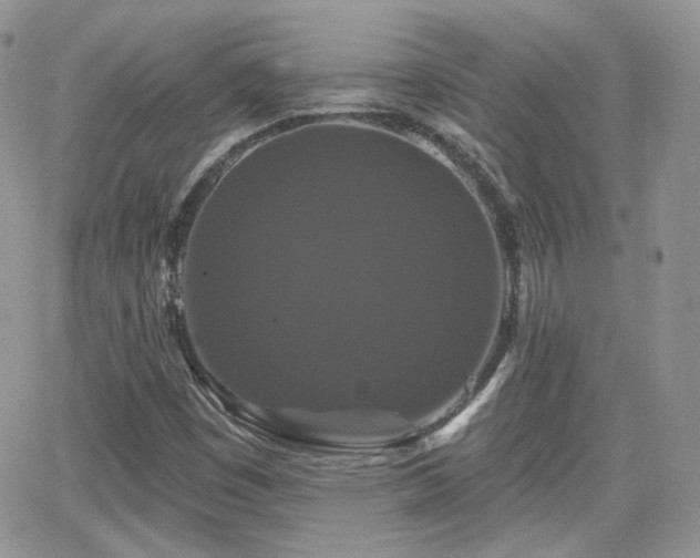 X0000066971449200603271156