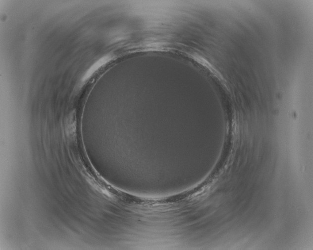 X0000066971450200603271156