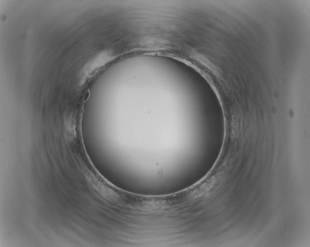 X0000066971451200603271156