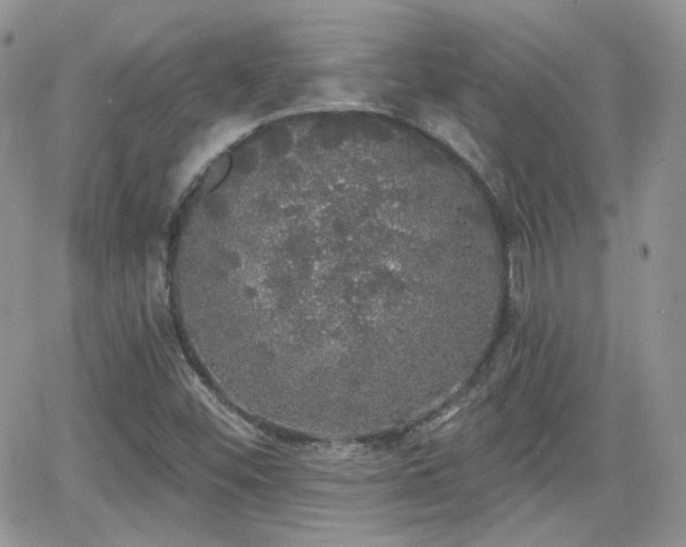 X0000066971452200603271156