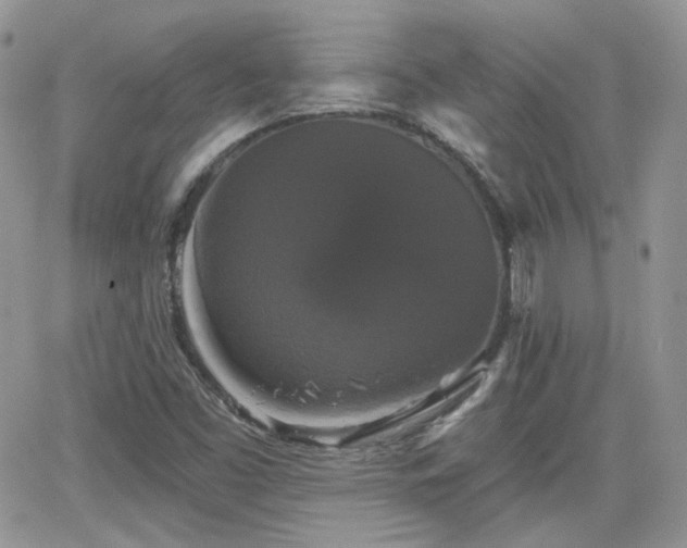 X0000066971453200603271156