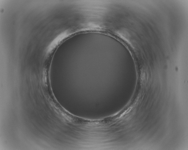 X0000066971455200603271156