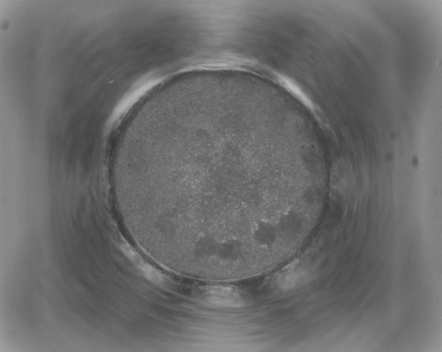 X0000066971456200603271156