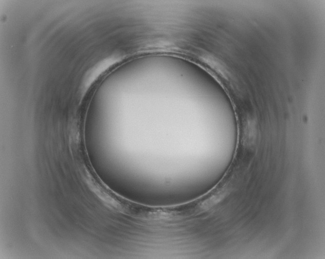 X0000066971458200603271156