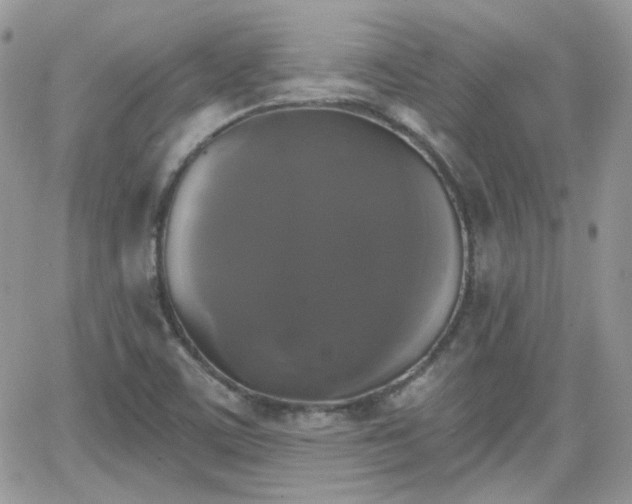 X0000066971459200603271156