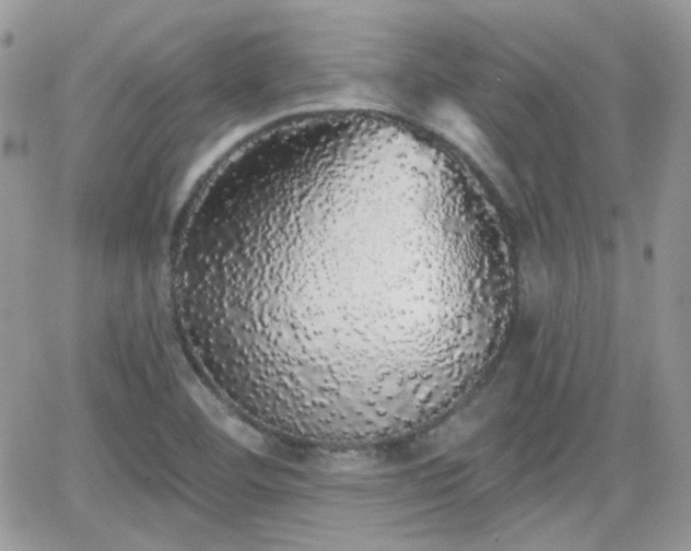 X0000066971460200603271156