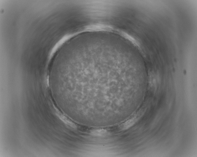 X0000066971462200603271156