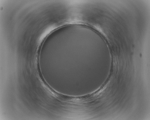 X0000066971463200603271156