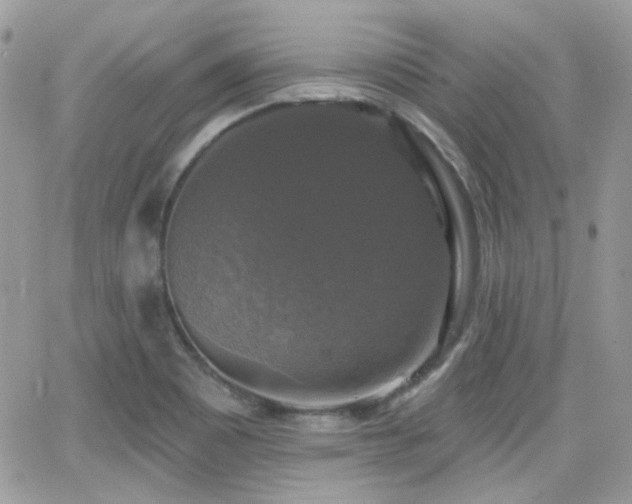 X0000066971465200603271156