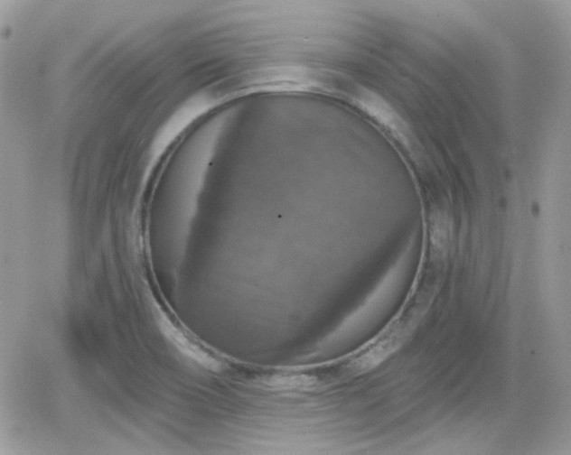 X0000066971466200603271156