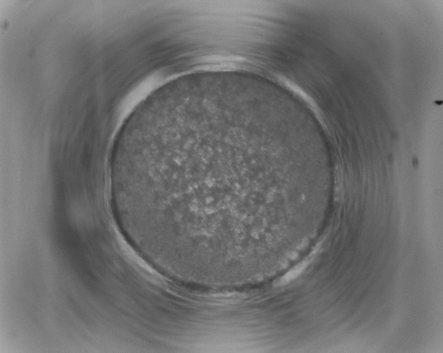 X0000066971467200603271156