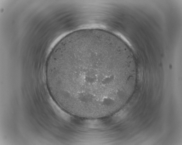 X0000066971468200603271156