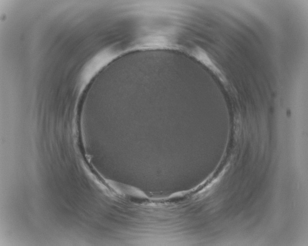 X0000066971469200603271156