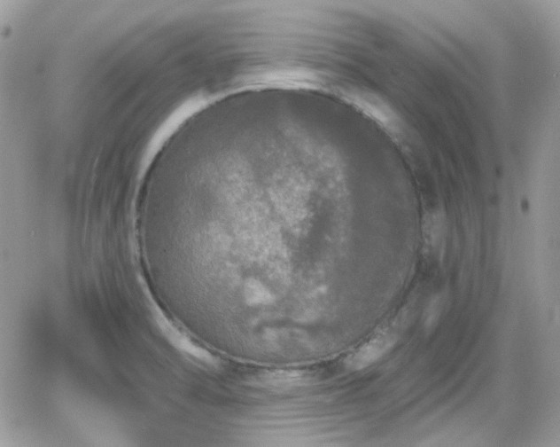 X0000066971470200603271156