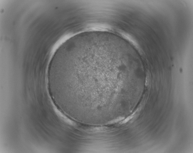 X0000066971471200603271156