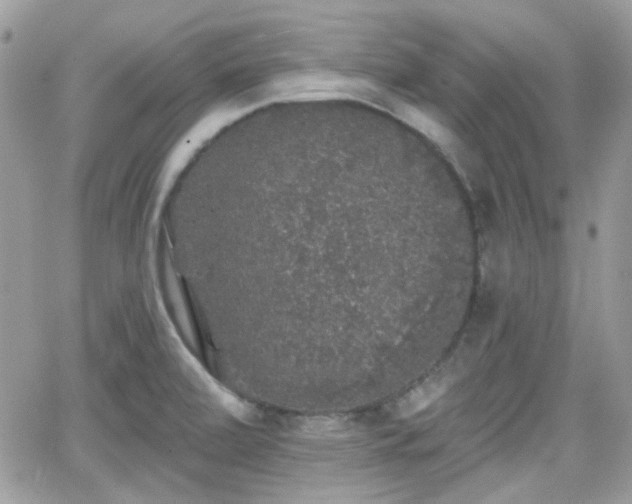 X0000066971472200603271155