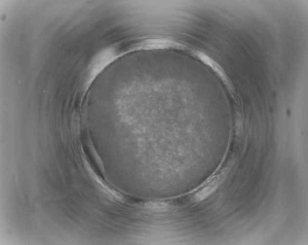 X0000066971473200603271155